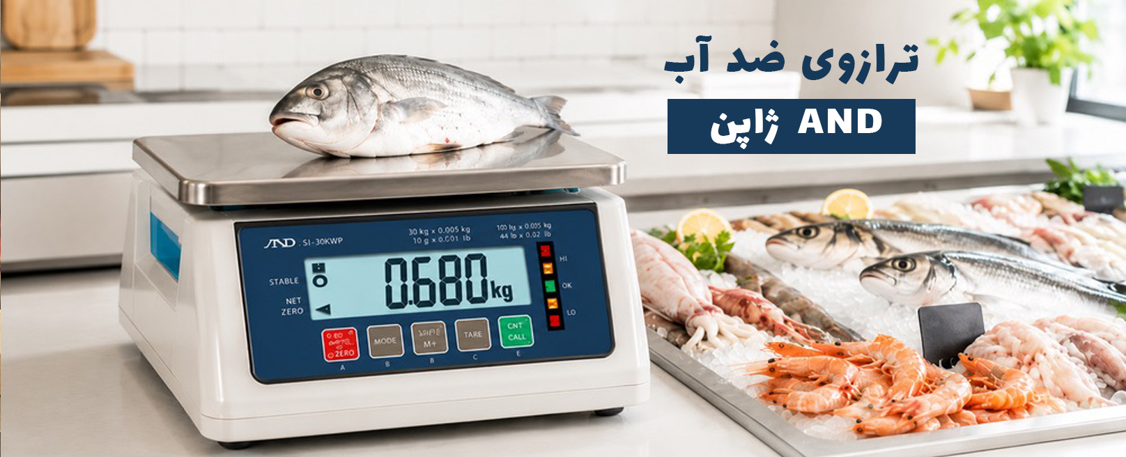 ترازوی ضد آب AND