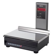 ترازوی صنعتی پند مدل PX3000