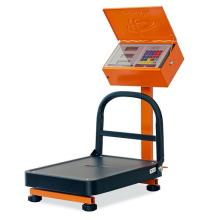 باسکول پیام توزین 100 کیلویی تاشو مدل TA100