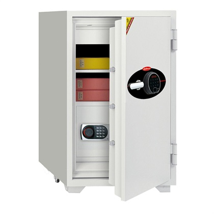 گاو صندوق دیپلمات BF100TFL